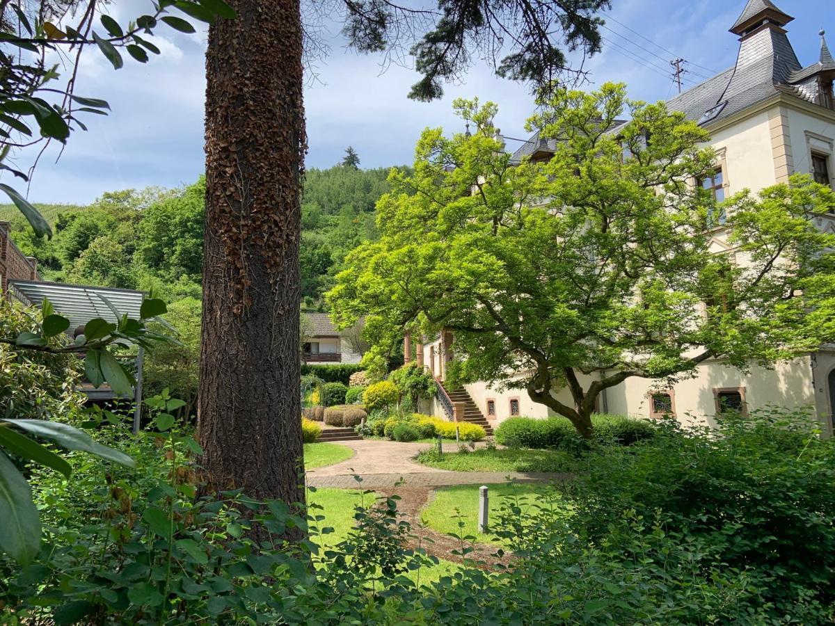特拉本特拉巴赫Fewo Schieferjuwel 1 Og Weingut Ca-Haussmann公寓 外观 照片